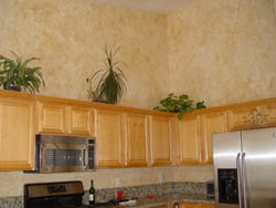 Decorative Kitchen Walls