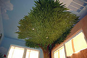 Tree Grows on Play Room Ceiling and Wall